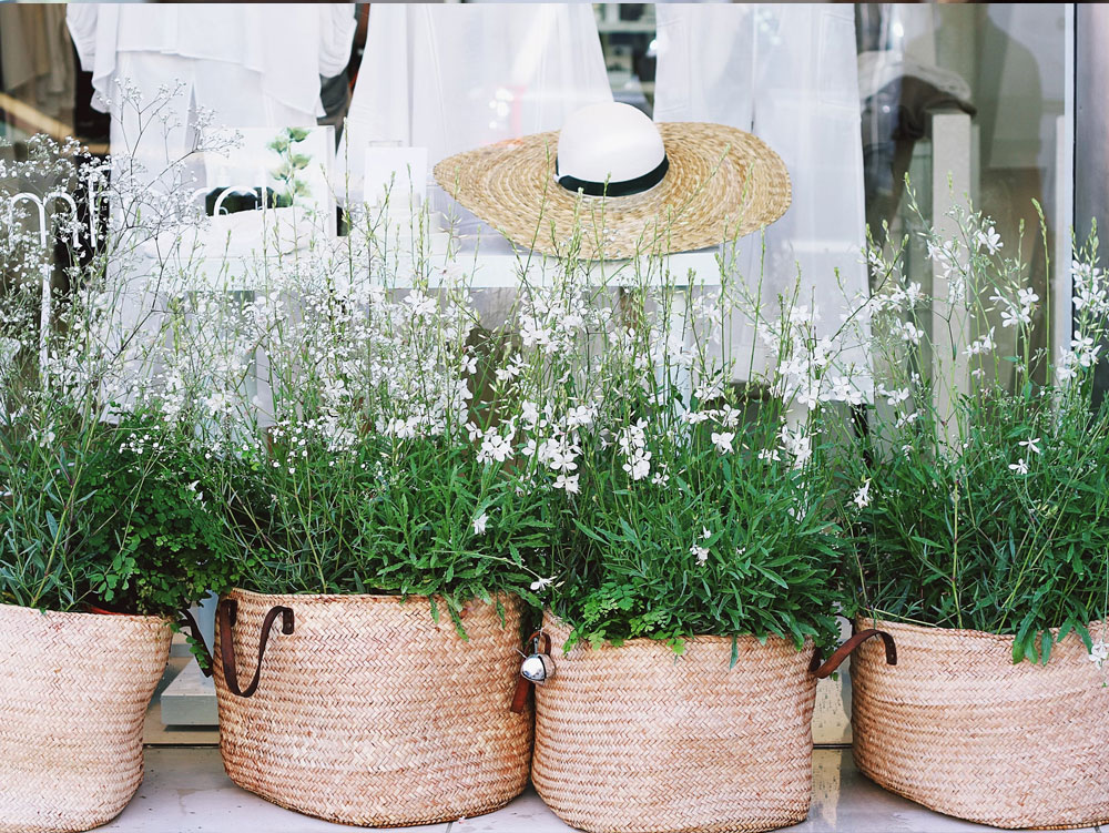 Baskets of flowers in a storefront